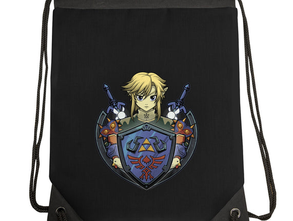 Hylian's Shield