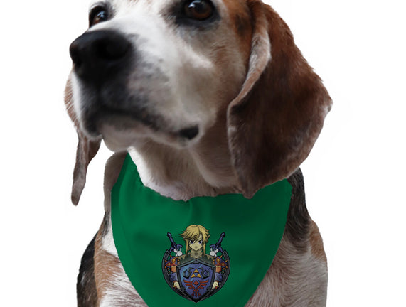 Hylian's Shield