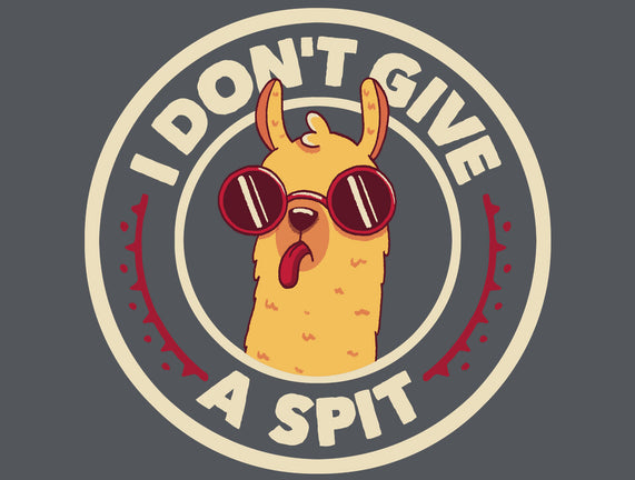 I Don't Give A Spit