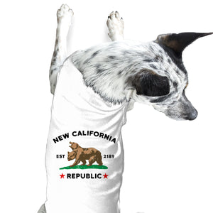 New California Republic