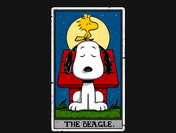 The Beagle