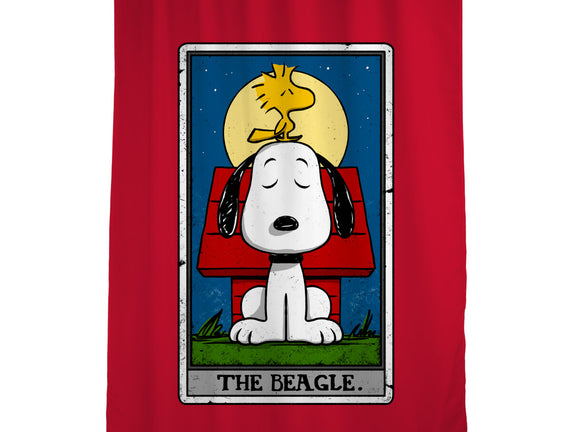 The Beagle