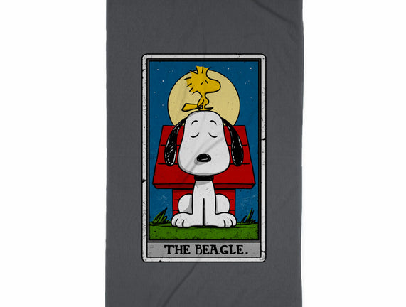 The Beagle