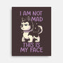 I Am Not Mad This Is My Face-None-Stretched-Canvas-koalastudio