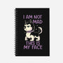 I Am Not Mad This Is My Face-None-Dot Grid-Notebook-koalastudio