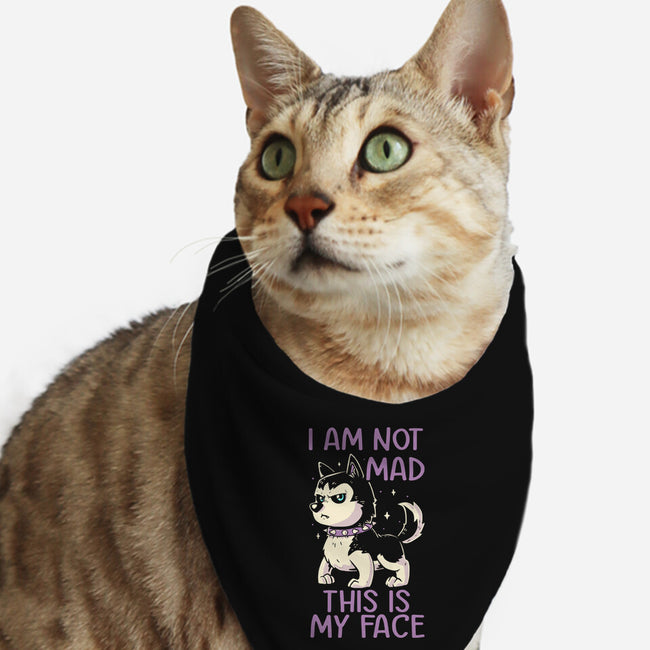 I Am Not Mad This Is My Face-Cat-Bandana-Pet Collar-koalastudio