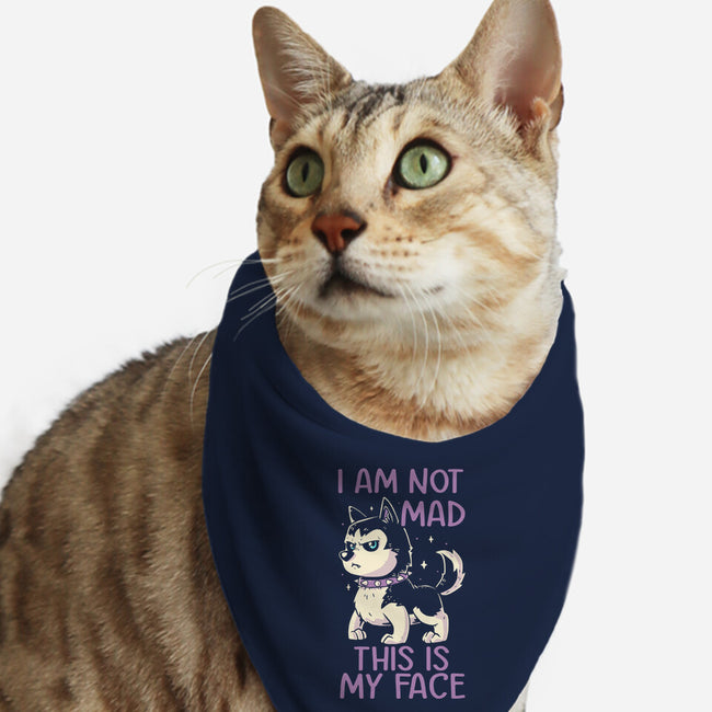 I Am Not Mad This Is My Face-Cat-Bandana-Pet Collar-koalastudio