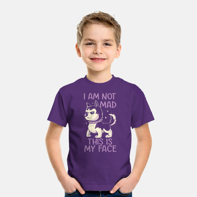 I Am Not Mad This Is My Face-Youth-Basic-Tee-koalastudio