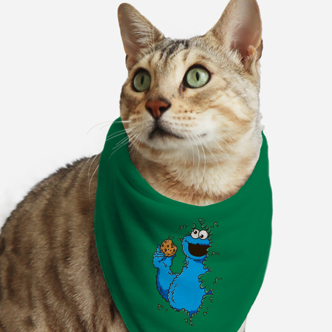 Cookie Bush-Cat-Bandana-Pet Collar-Barbadifuoco