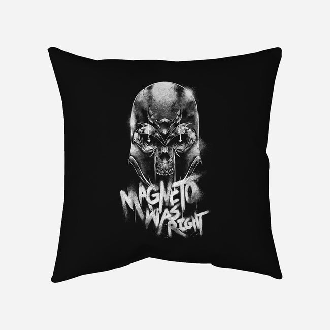 Magnetically Correct-None-Removable Cover w Insert-Throw Pillow-Bo Bradshaw