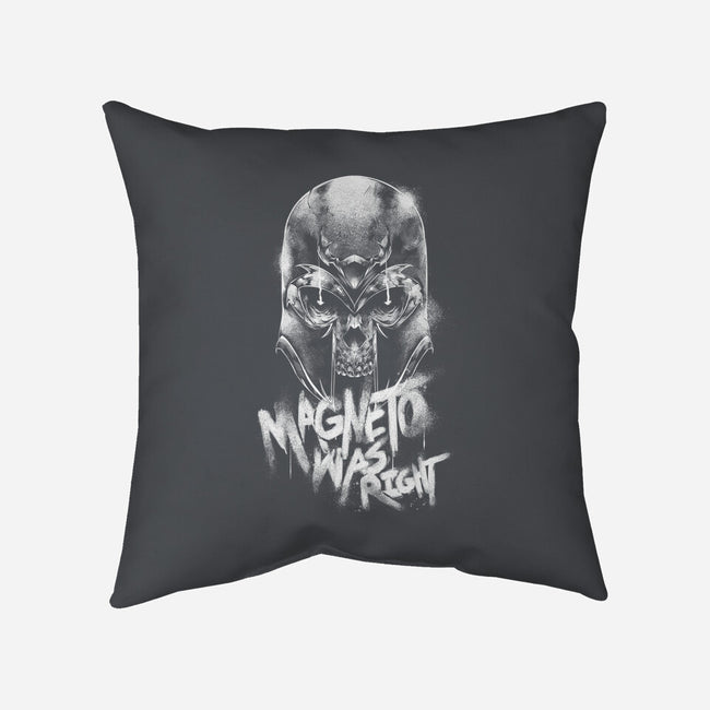 Magnetically Correct-None-Removable Cover-Throw Pillow-Bo Bradshaw