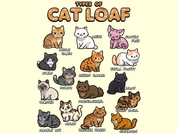 Types Of Cat Loaf