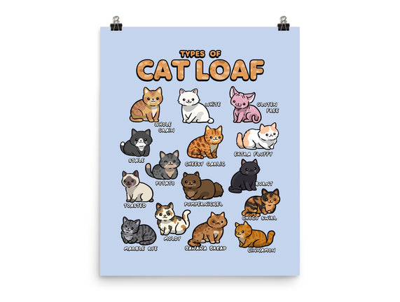 Types Of Cat Loaf