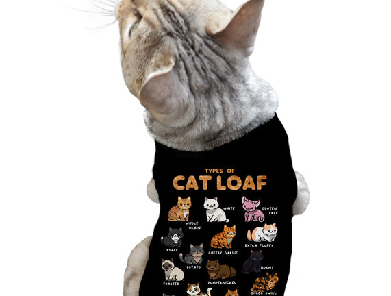 Types Of Cat Loaf