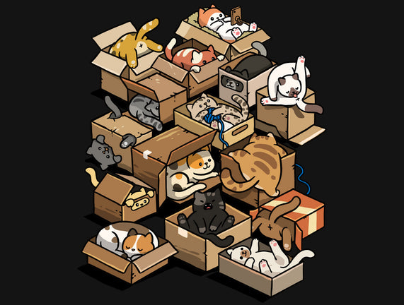 Cardboard Cats