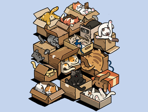 Cardboard Cats