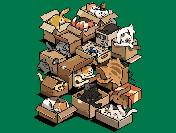 Cardboard Cats