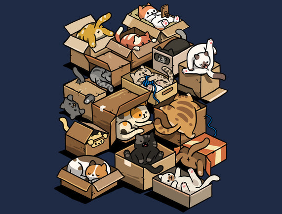 Cardboard Cats