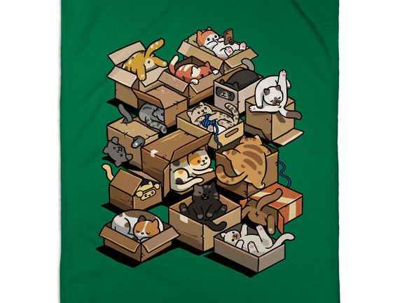 Cardboard Cats