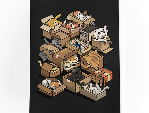 Cardboard Cats