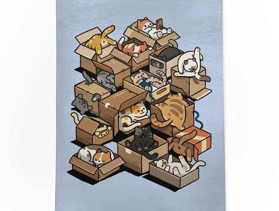 Cardboard Cats