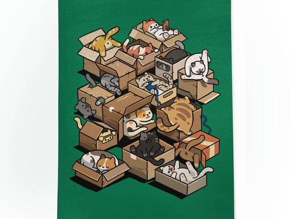 Cardboard Cats