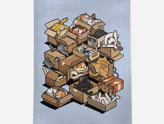 Cardboard Cats