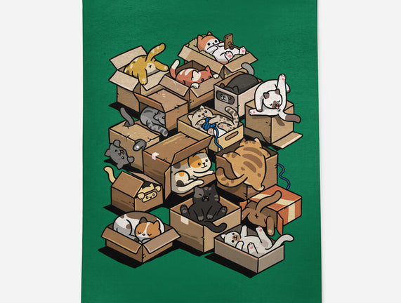 Cardboard Cats