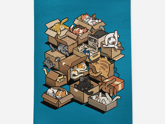 Cardboard Cats