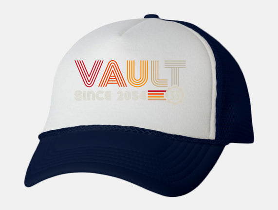 Vault Since 2054