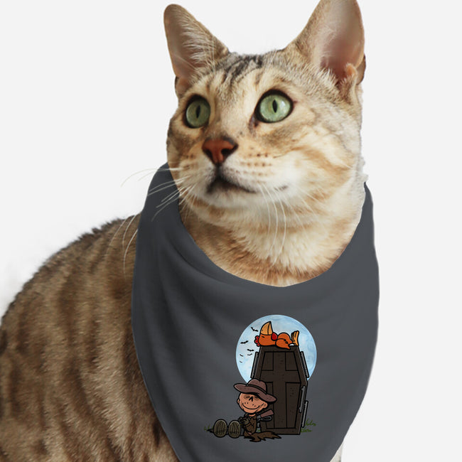 Ghoulnuts-Cat-Bandana-Pet Collar-Boggs Nicolas