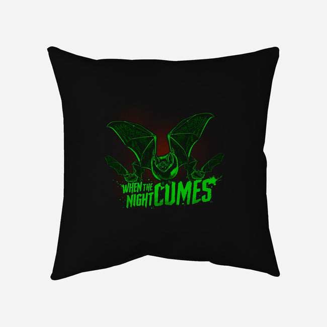 Night Flight-None-Removable Cover-Throw Pillow-Roni Nucleart