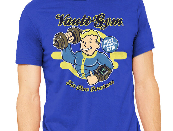 Vault Gym