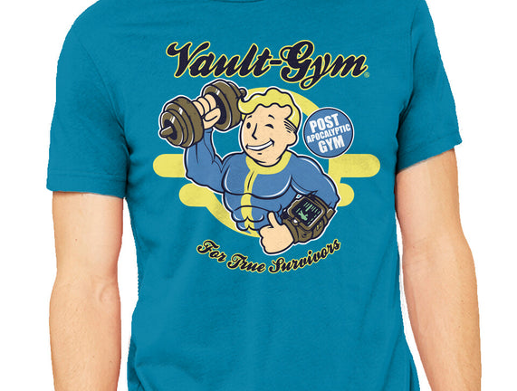 Vault Gym