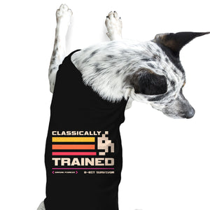 Classically Trained For Retro Gamers