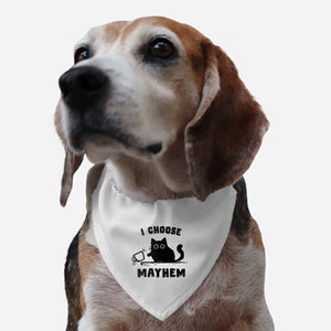 I Choose Mayhem-Dog-Adjustable-Pet Collar-kg07