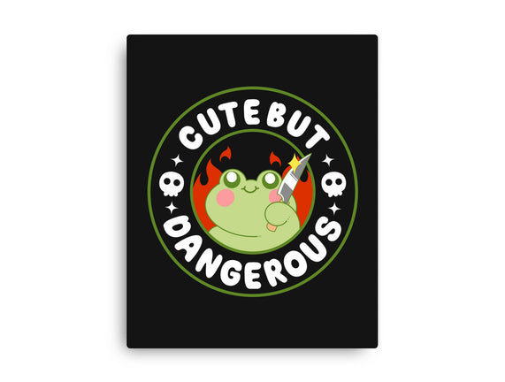 Cute But Dangerous Toad