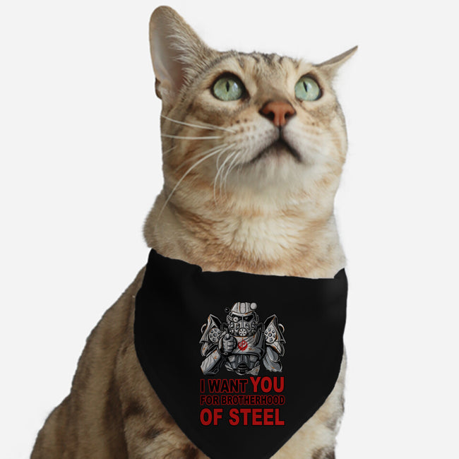 Brother Of Steel-Cat-Adjustable-Pet Collar-FernandoSala