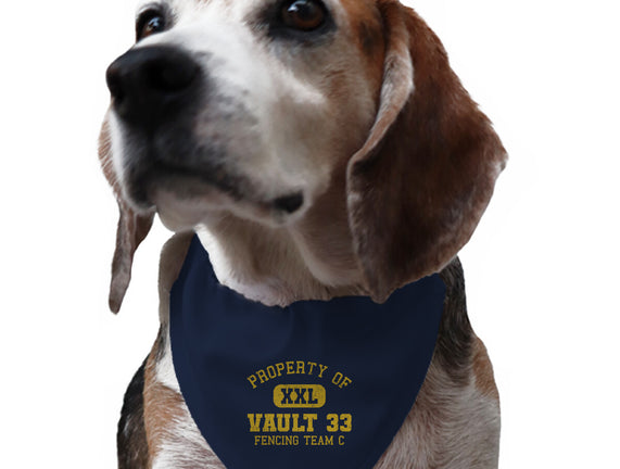 Property Of Vault 33