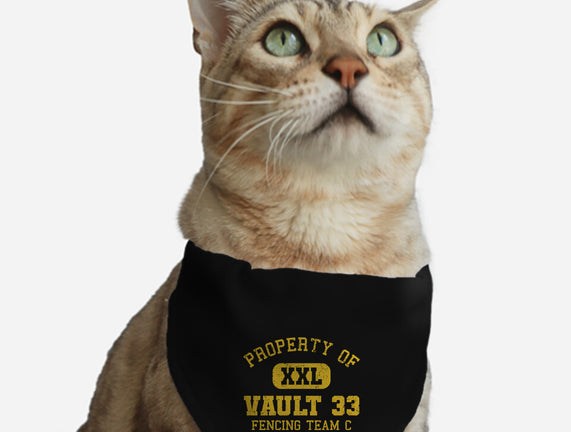 Property Of Vault 33