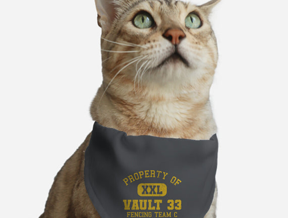 Property Of Vault 33