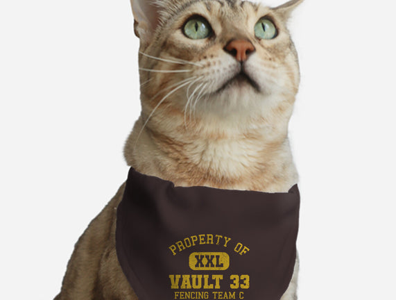 Property Of Vault 33