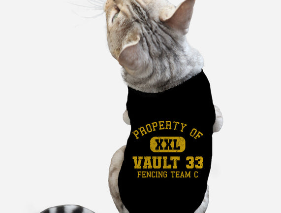 Property Of Vault 33