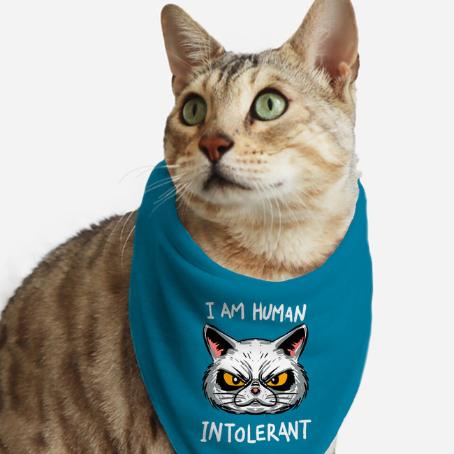 Human Intolerant-Cat-Bandana-Pet Collar-kharmazero