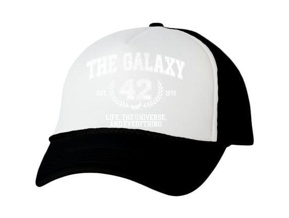 The Galaxy