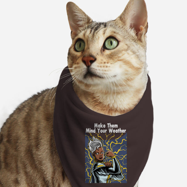 Storm Can Do It-Cat-Bandana-Pet Collar-zascanauta