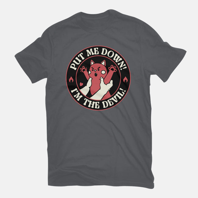 Put Me Down-Mens-Heavyweight-Tee-tobefonseca