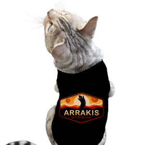 Visit Arrakis