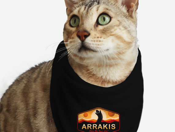 Visit Arrakis