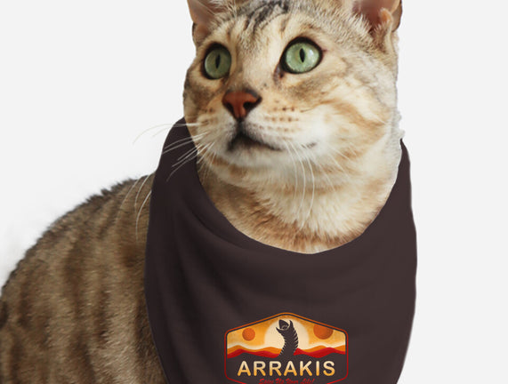 Visit Arrakis